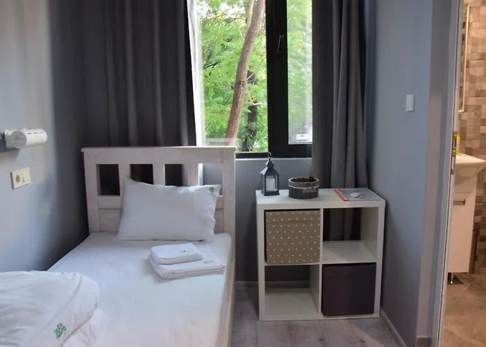 Kyosheto אכסניה *